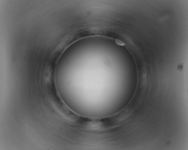 X0000113280266200909211046