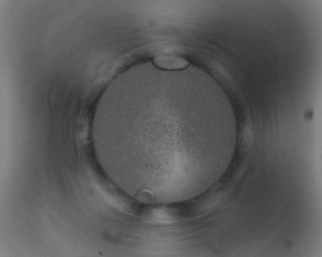 X0000113280268200909211046