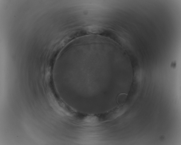 X0000113280271200909211046