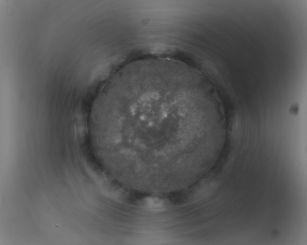 X0000113280272200909211046