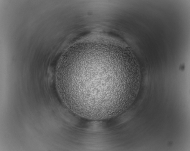 X0000113280273200909211046