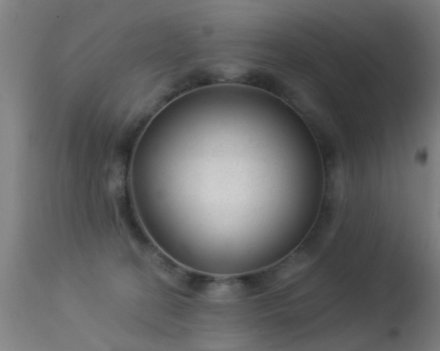 X0000113280274200909211046