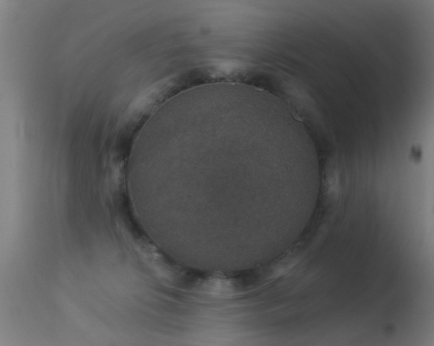 X0000113280276200909211046