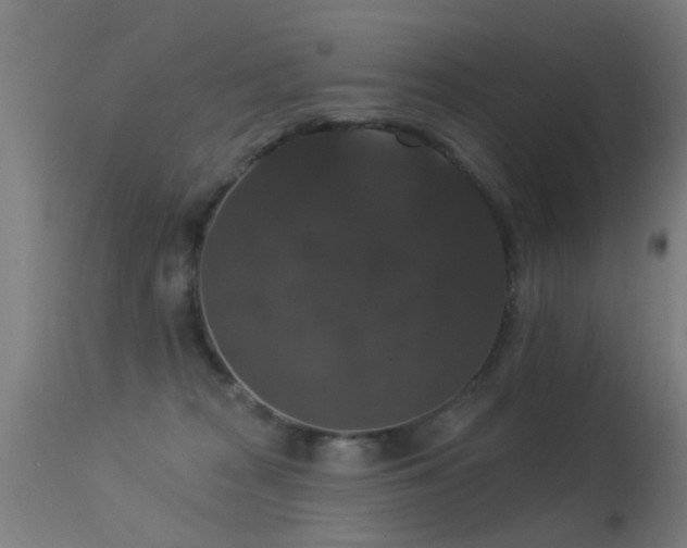 X0000113280277200909211047