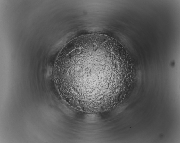 X0000113280281200909211047