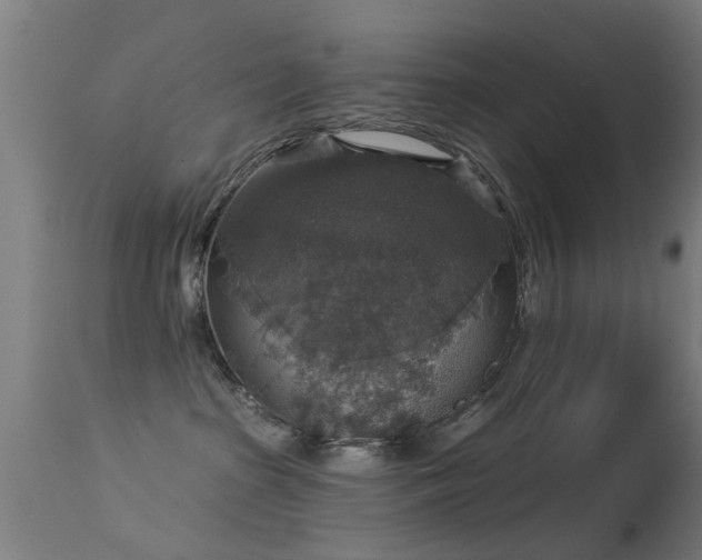 X0000113280285200909211047