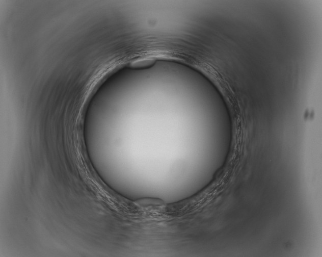 X0000113280289200909211046