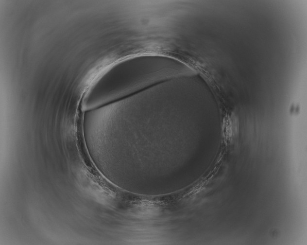 X0000113280292200909211046