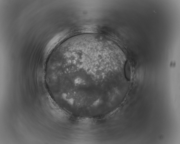 X0000113280293200909211046