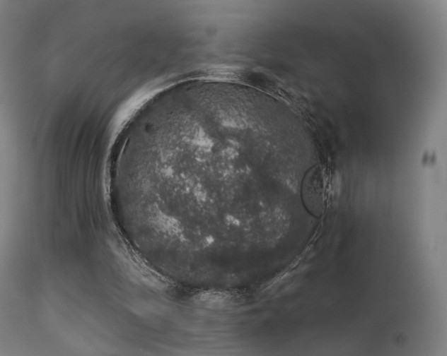 X0000113280294200909211046