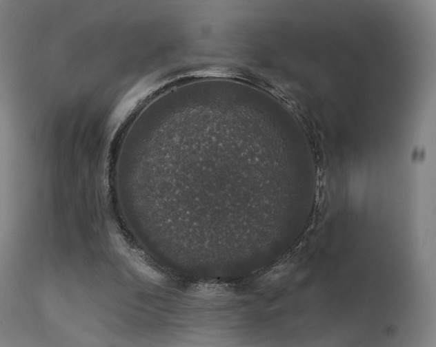 X0000113280296200909211046