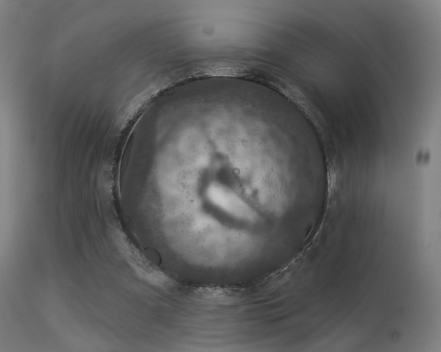 X0000113280297200909211046