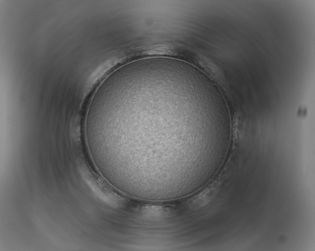 X0000113280298200909211046