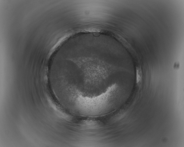 X0000113280300200909211046