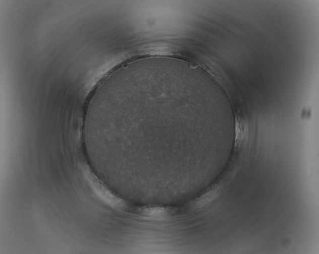 X0000113280301200909211046