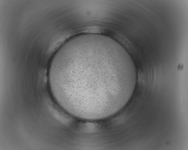 X0000113280302200909211046