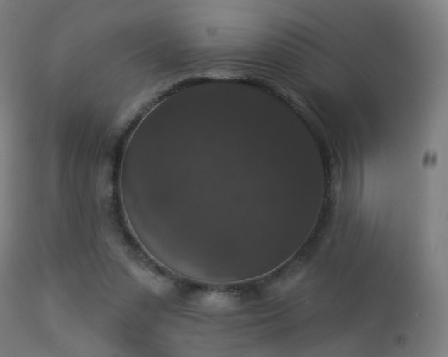 X0000113280303200909211046