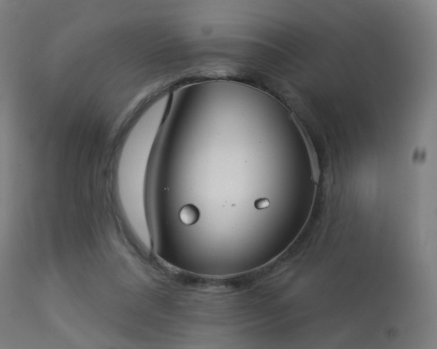 X0000113280304200909211046