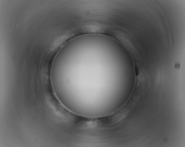 X0000113280306200909211046