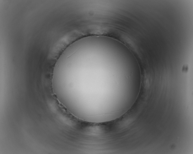 X0000113280307200909211046