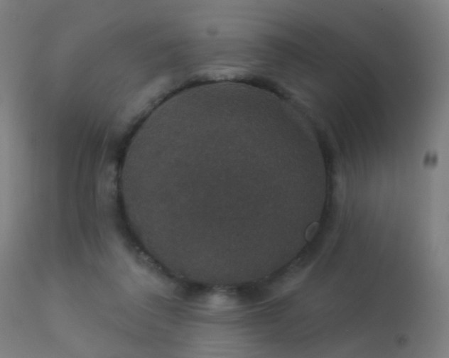 X0000113280308200909211046