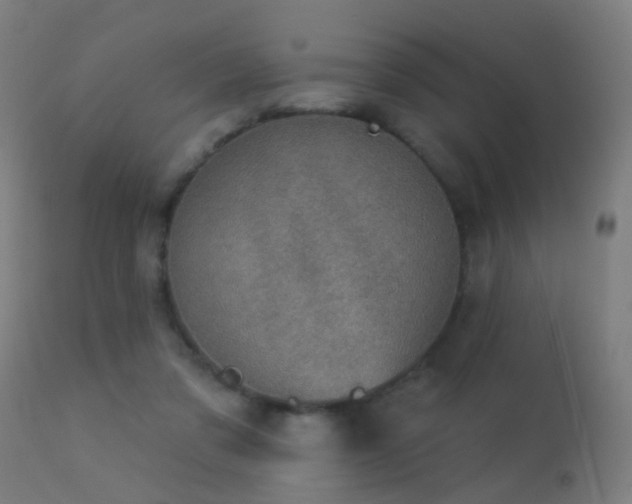 X0000113280309200909211046