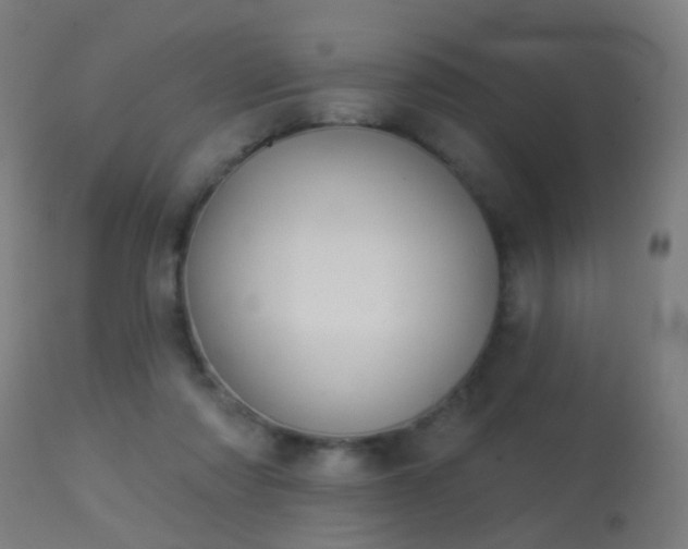 X0000113280310200909211045