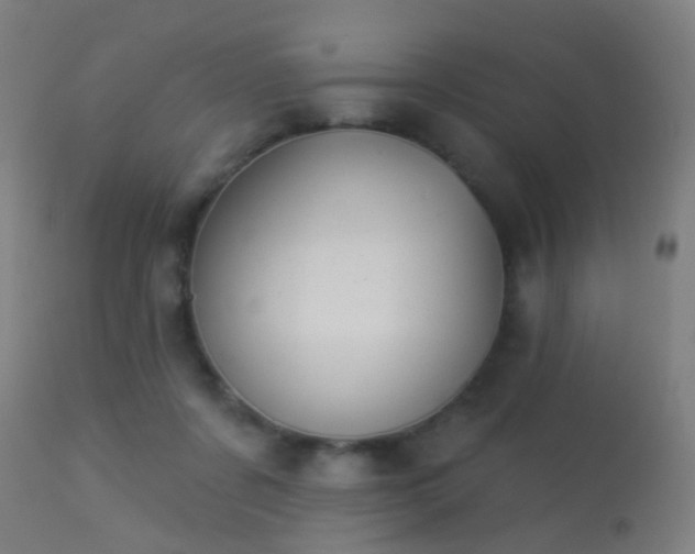 X0000113280311200909211045