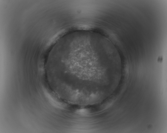 X0000113280312200909211045