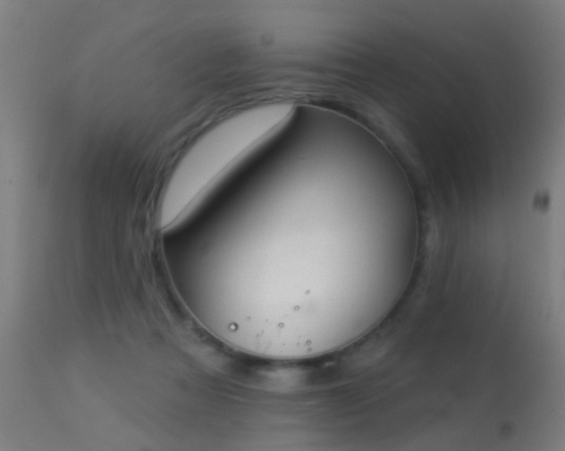 X0000113280313200909211045