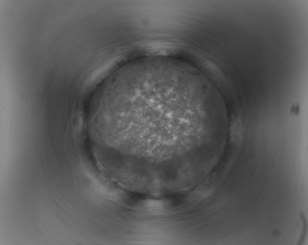 X0000113280314200909211045