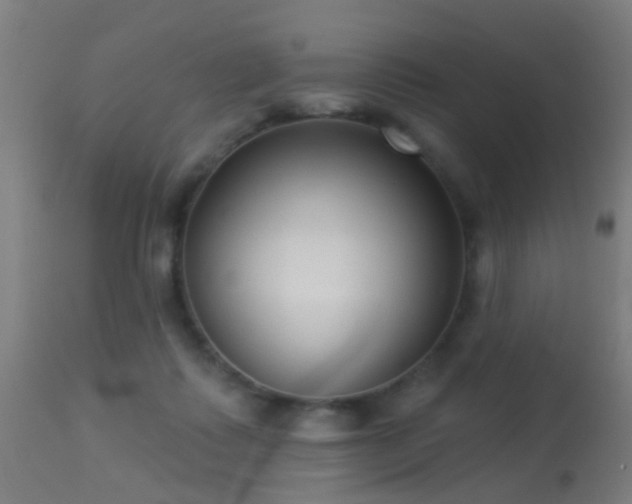 X0000113280315200909211045