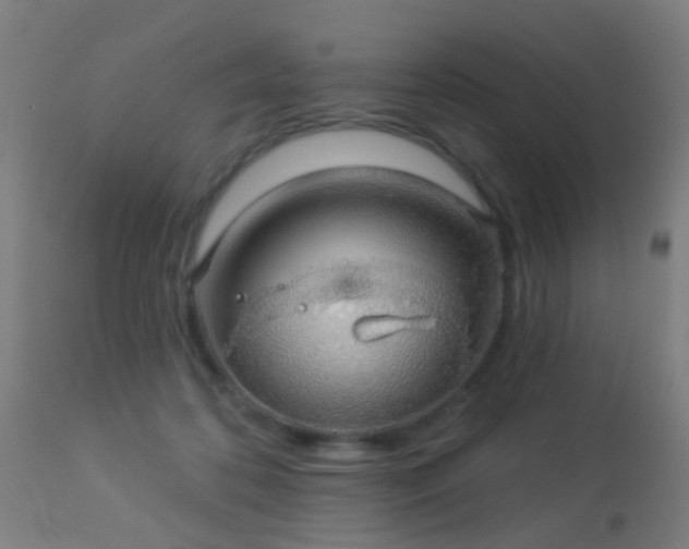 X0000113280316200909211045