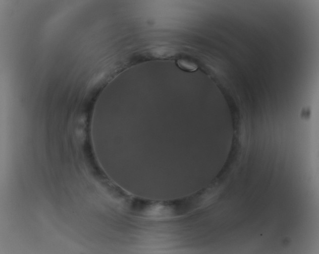 X0000113280319200909211045