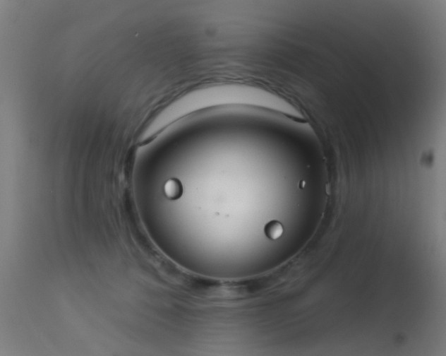 X0000113280320200909211045