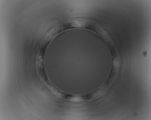 X0000113280322200909211045