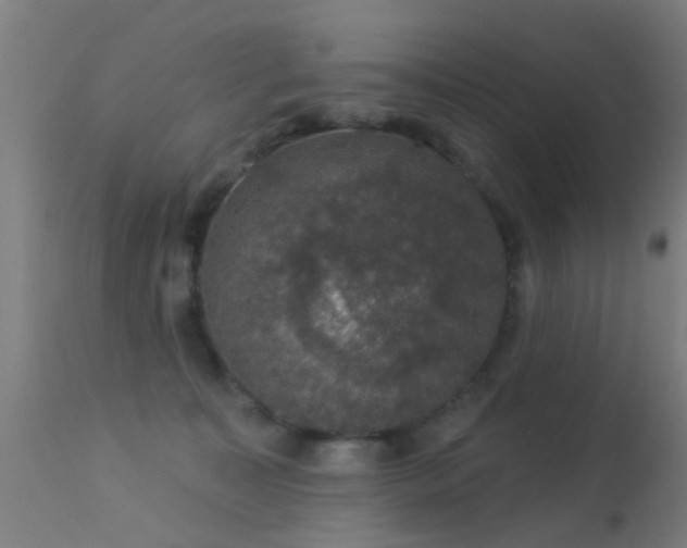 X0000113280323200909211045