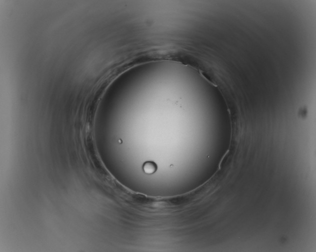 X0000113280324200909211045