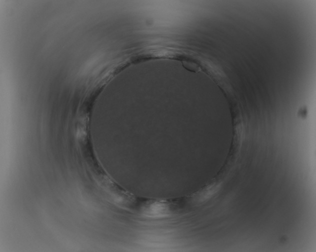 X0000113280325200909211045