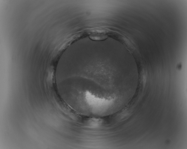 X0000113280328200909211045