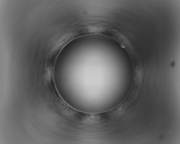 X0000113280329200909211045