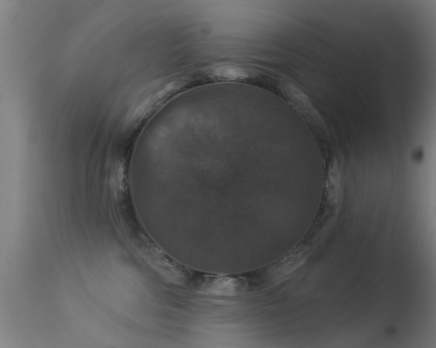 X0000113280330200909211045