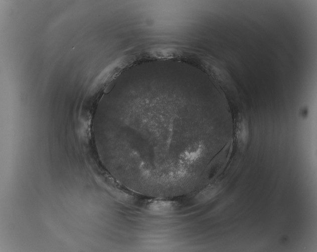 X0000113280332200909211045