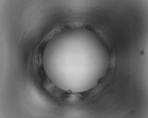 X0000113280334200909211045