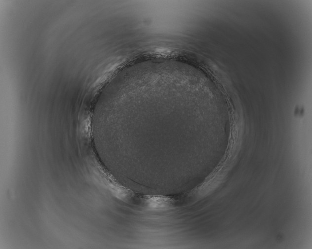 X0000113280336200909211045