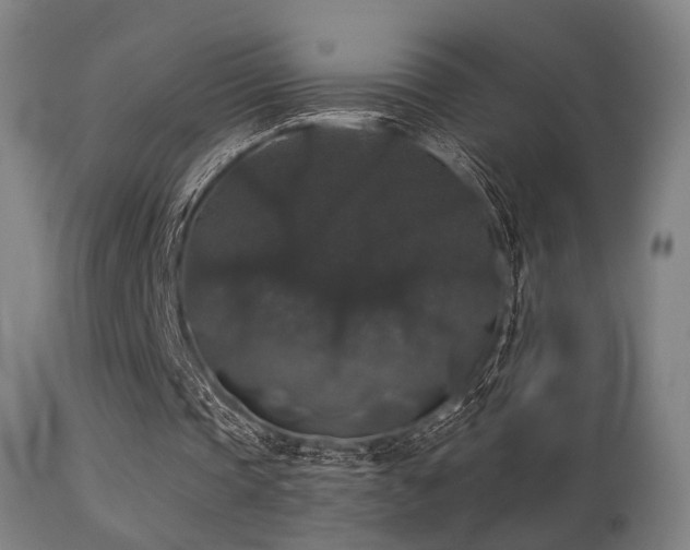 X0000113280337200909211044