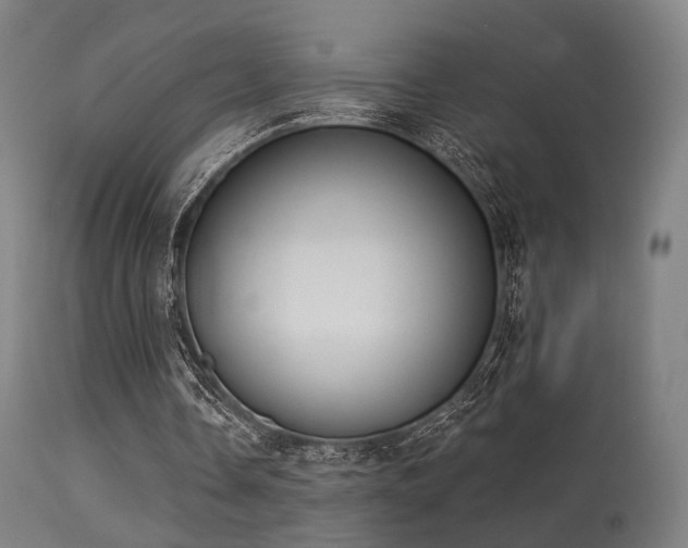 X0000113280338200909211044