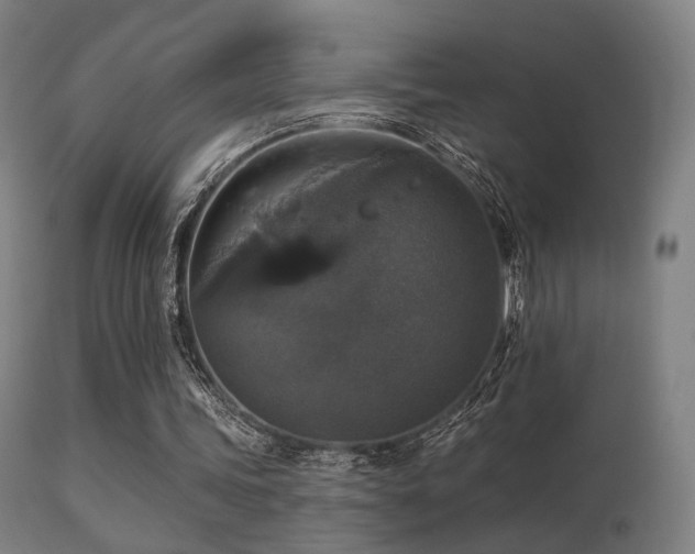 X0000113280339200909211045