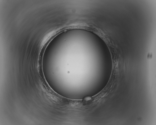 X0000113280340200909211045