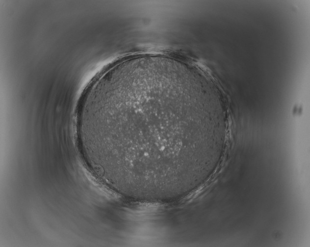 X0000113280342200909211045